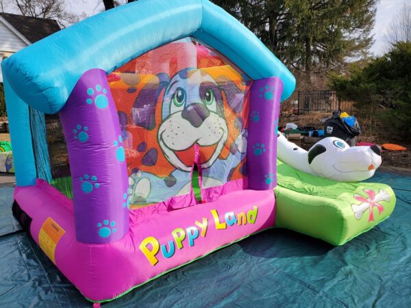 Poppy Bounce House side view Bounce house rental
