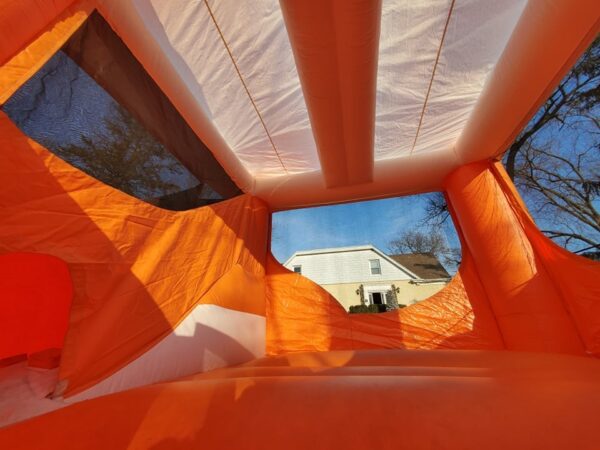 Bounce house rental Chicago - Tiger