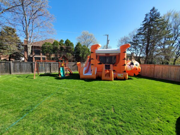 Tiger bounce house rental 1