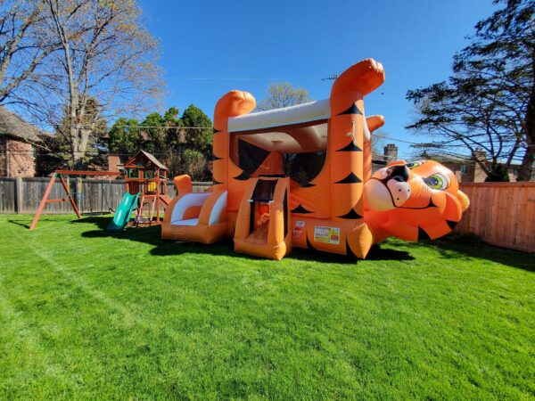 Tiger bounce house rental 2