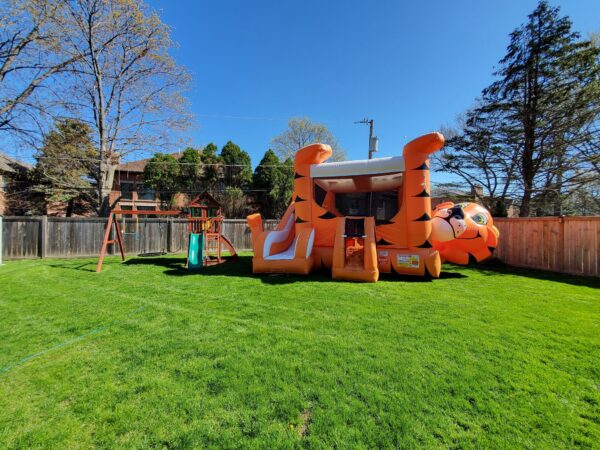 Tiger bounce house rental 4