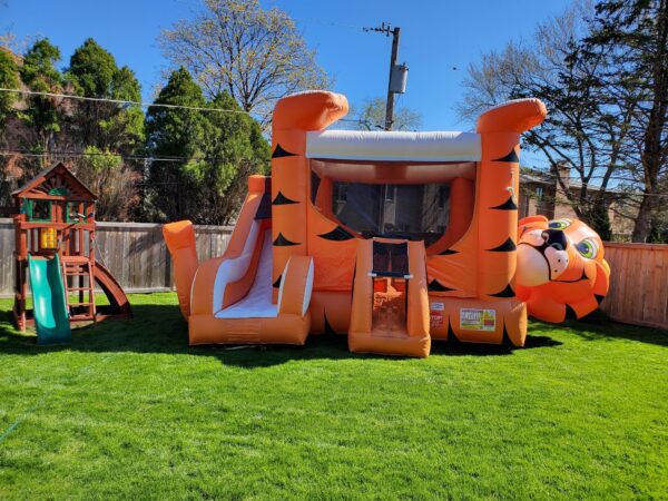 Tiger bounce house rental