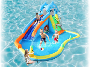 Bounce house rental Chicago - Dolphin Wet & Dry